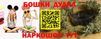 индика Братск