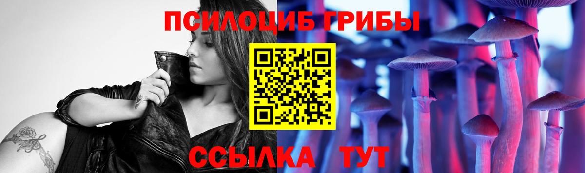 Псилоцибиновые грибы Psilocybe  Вход с VPN  Бахчисарай  Галлюциногенные грибы ЛСД 