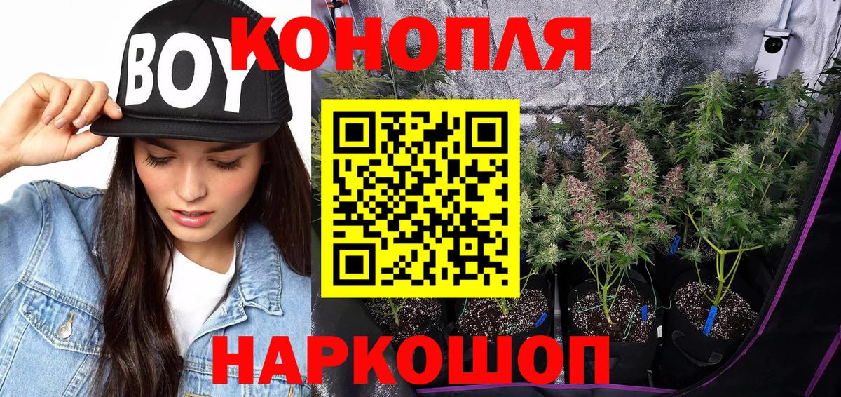 МАРИХУАНА OG Kush Бахчисарай